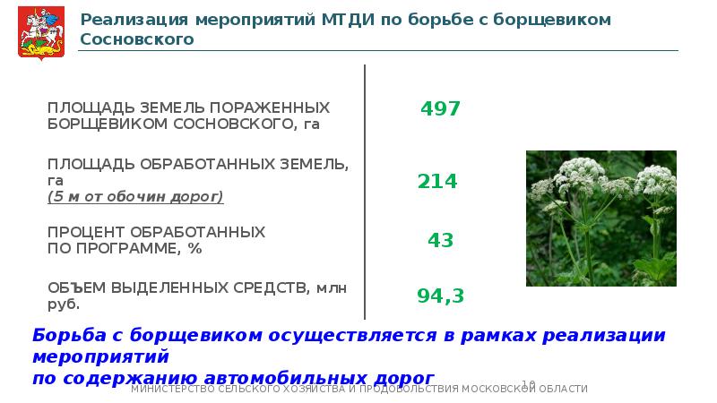 Заявление на борщевик в администрацию образец