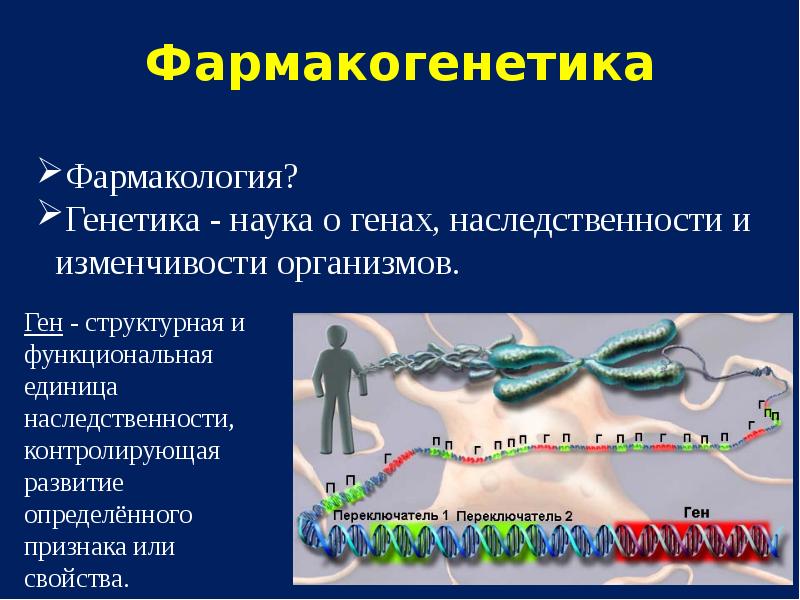 Фармакогенетика и фармакогеномика презентация