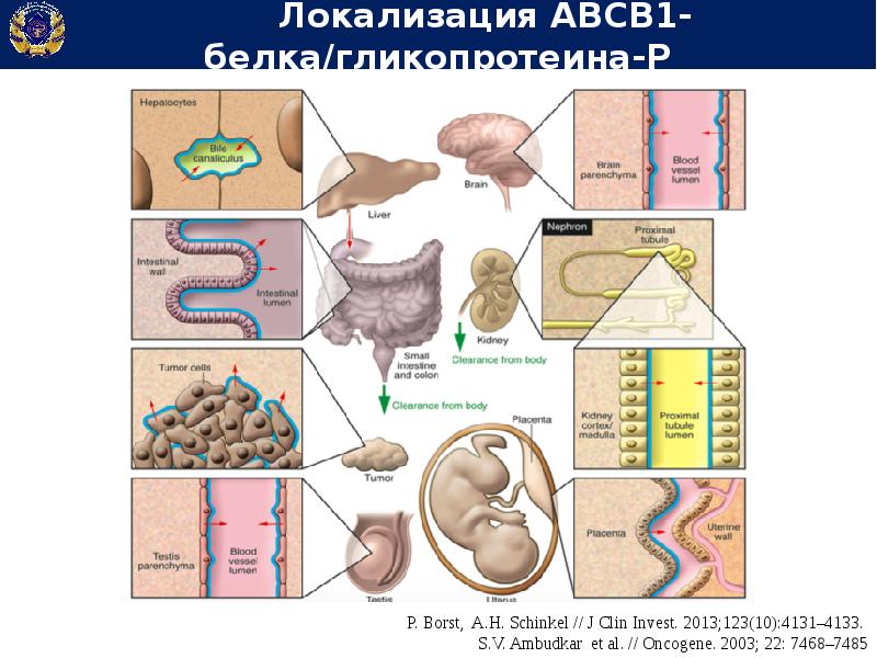 Медицина 4п презентация