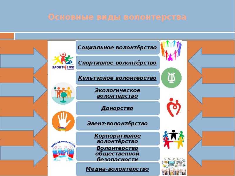 Основные виды волонтерства