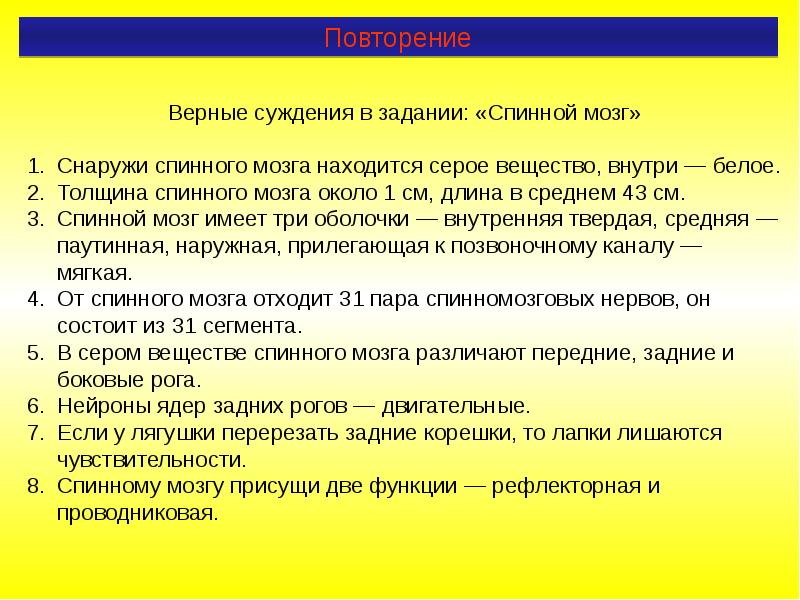 Верная система. Верные суждения в задание спинной мозг. Задачи спинного мозга. Ситуационные задачи по спинномозговым нервам. Толщина спинного мозга около 1 см длина в среднем 43 см.