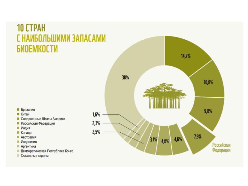 Экологический след фото