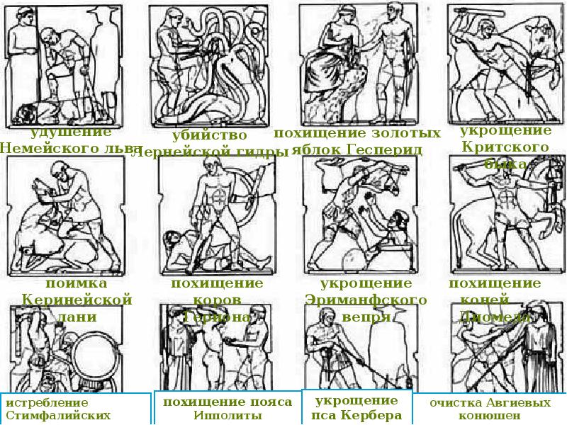 Ментальная карта подвиги геракла