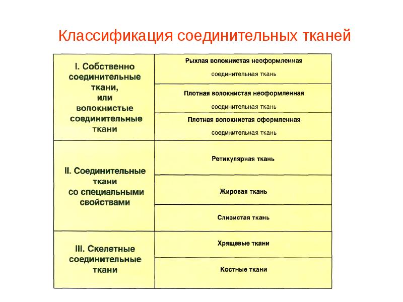 Классификация тканей презентация