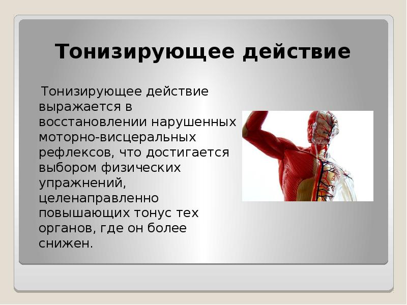 Человек культура презентация. Влияние физических упражнений на мышцы презентация. Тонизирующее влияние физических упражнений. Сообщение на тему влияние физических упражнений на мышцы. Тонизирующее действие это.