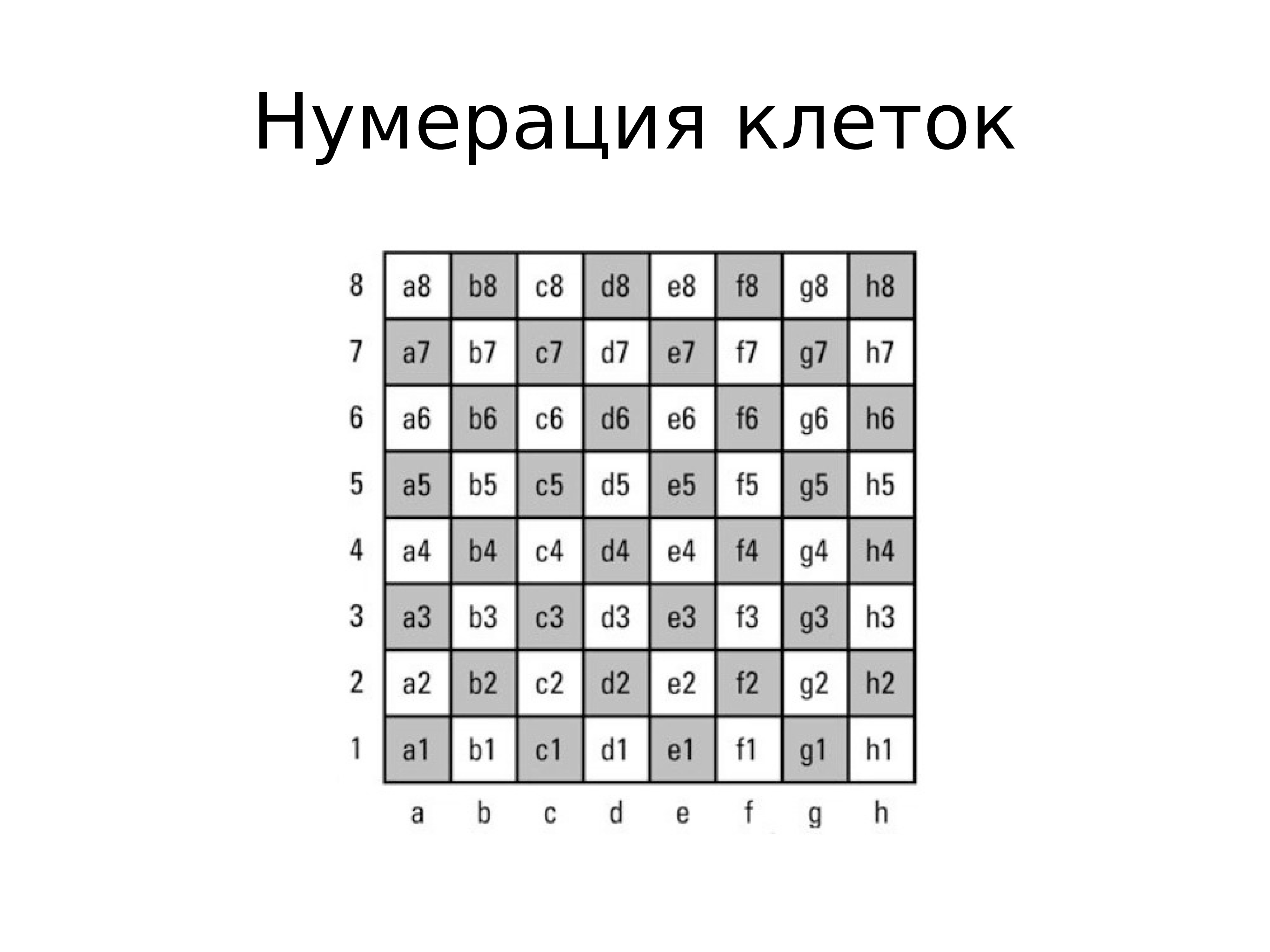 Сколько всего клеток на шахматной доске. Из чего состоит шахматная доска. Если на шахматную доску положить рис на каждую клетку таблицы. Сколько клеток на шахматной доске. Сколько клеток на шахматной доске ответ.