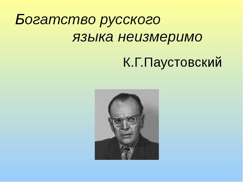 Проект на тему богатство русского языка