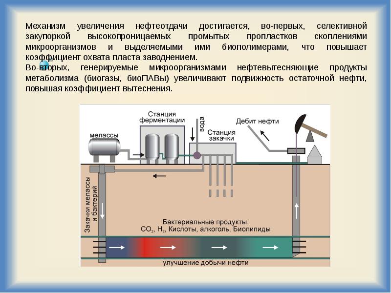 Закачка пав презентация