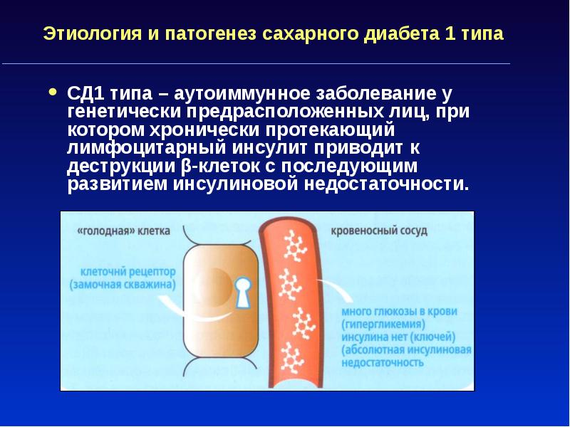 Сд 2 типа презентация