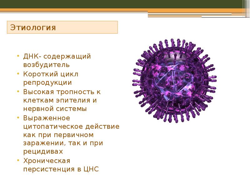 Этиология
Этиология Этиология
Этиология