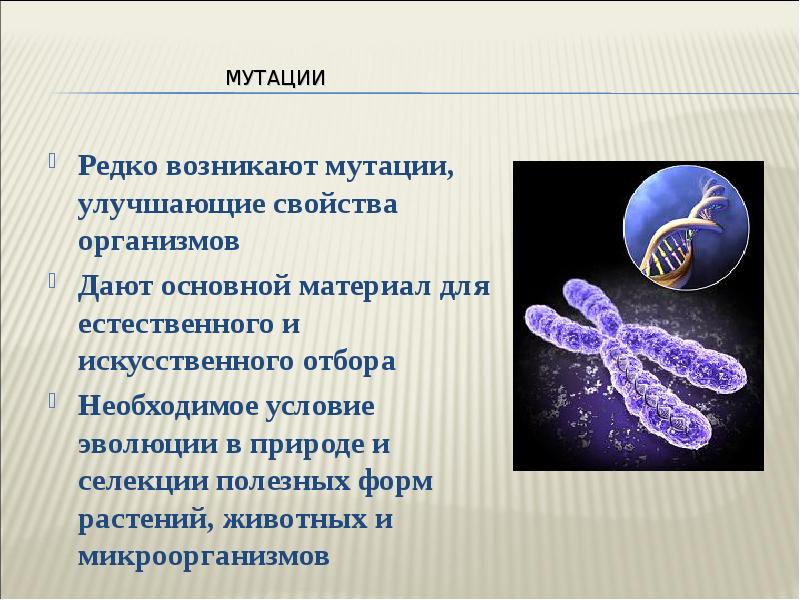 Мутационные изменения возникают. Мутационный процесс примеры в биологии. Мутационный процесс это в биологии. Мутации бактерий. Роль мутаций в эволюции.