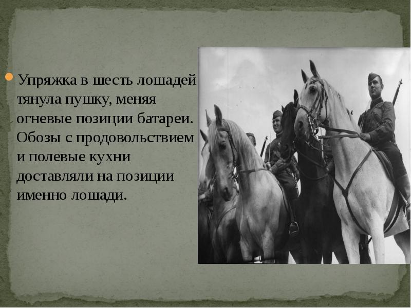 Животные которые помогали в великой отечественной войне презентация