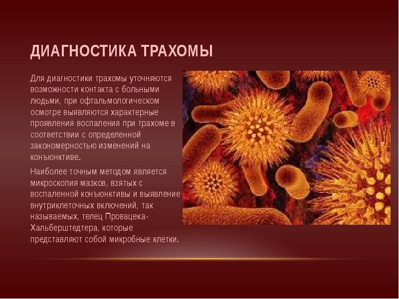 трахома