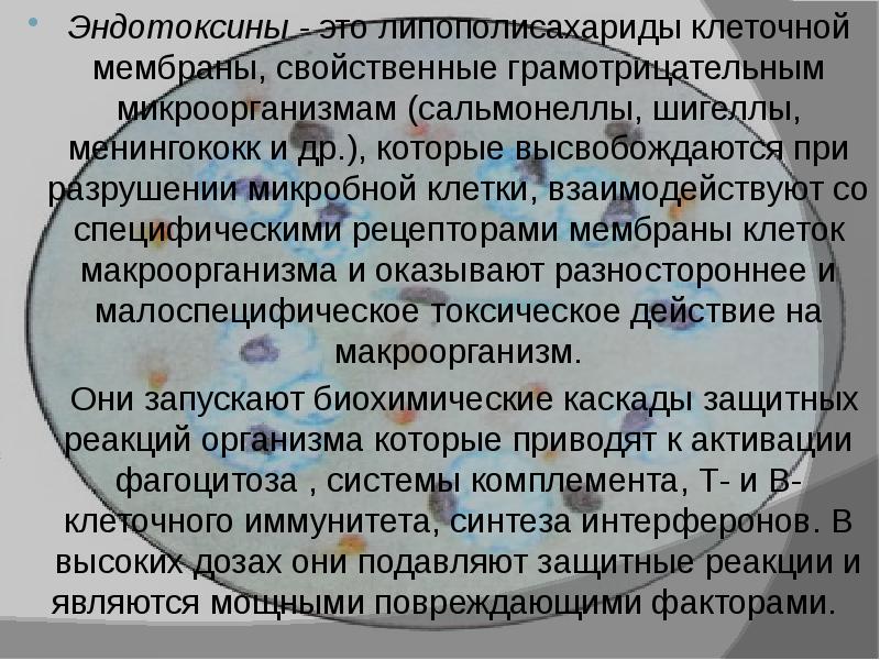 эндотоксины это. эндотоксины бактерий. эндотоксин функции. бактерии вызывающие эндотоксин. эндотоксины это.