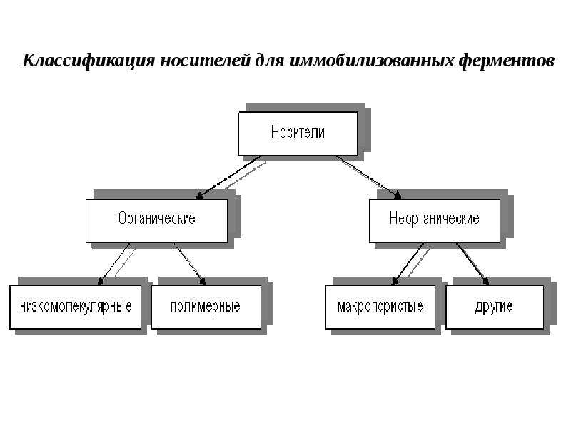 Иммобилизованные ферменты презентация