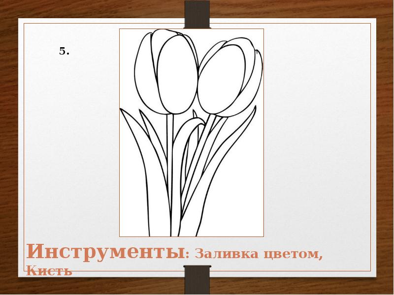 Презентация тюльпаны для дошкольников