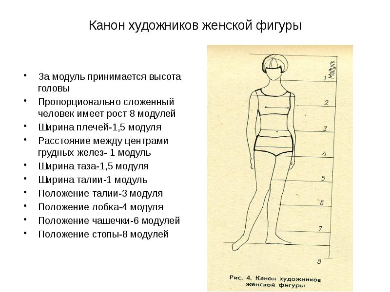 При современном изображении фигуры человека что берется за модуль