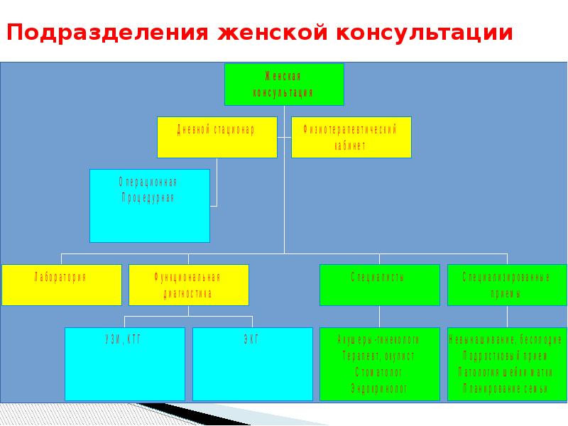 Подразделения женщина. Подразделения женской консультации. Структурные подразделения женской консультации. Структура подразделения женской консультации. Организационная структура женской консультации.