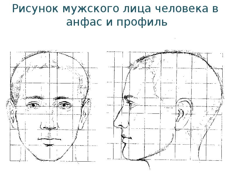 Лицо в профиль и анфас. Человек в анфас. Анфас и профиль рисунок. Лицо анфас рисунок.