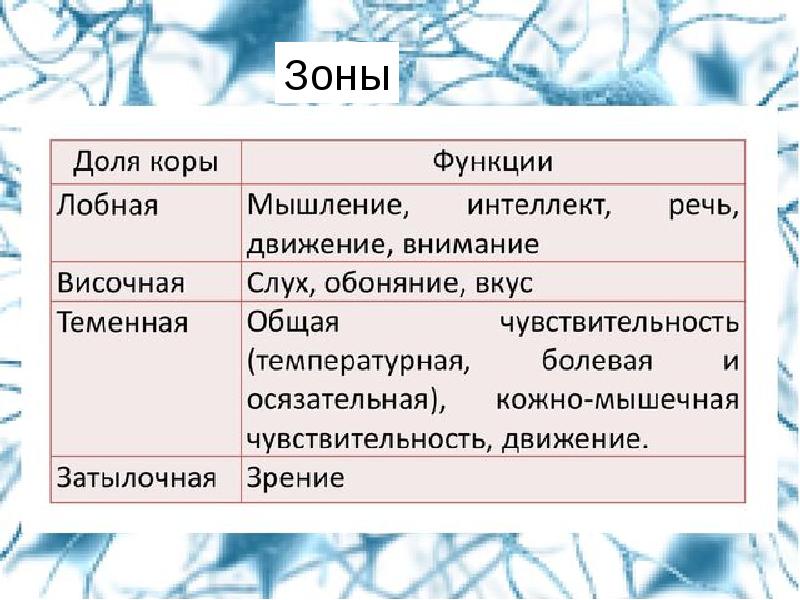 Сознание и мышление речь презентация 8 класс