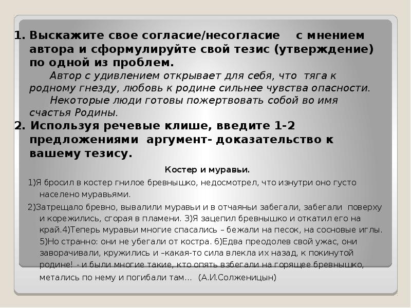 Я бросил в костер гнилое бревнышко недосмотрел