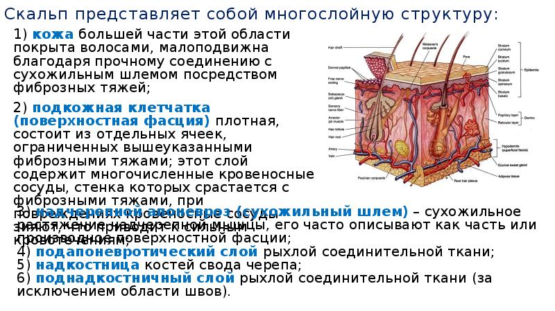 Снаружи покрыто