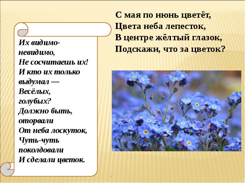 О каком цветке идет речь. Их видимо невидимо не сосчитаешь их. Видимо невидимо стих. Серова их видимо невидимо, не сосчитаешь их. Стих их видимо невидимо не сосчитаешь их.