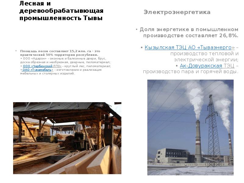 заводы республики тыва. отрасли тыва. сгк кызылская тэц. министр экономики республики тыва. тэц кызыл.