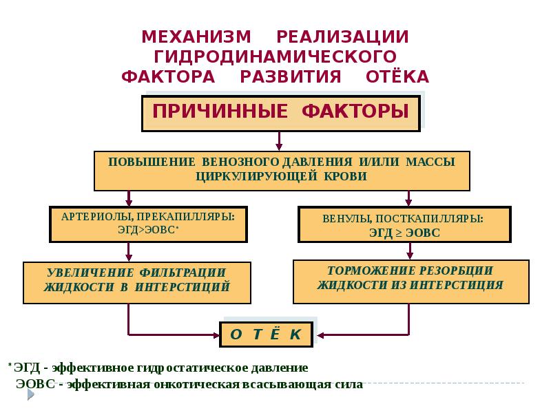 Презентация на тему нарушение водного обмена