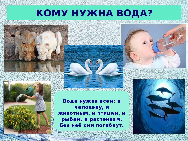 Высказывания о воде