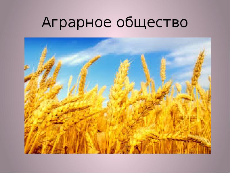 К какой сфере общественной жизни относится руководство и управление обществом