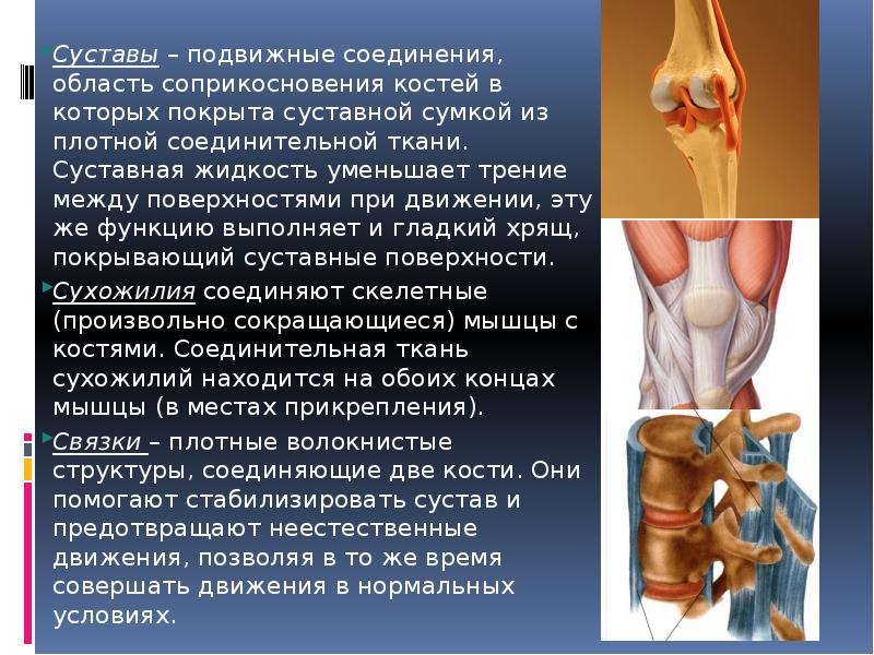 Суставная жидкость. Подвижные соединения суставы. Уменьшает трение суставных поверхностей костей. Соединительная ткань суставов. Уменьшение трения костей в суставе это.