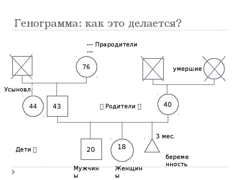 Как составить генограмму семьи схема пример