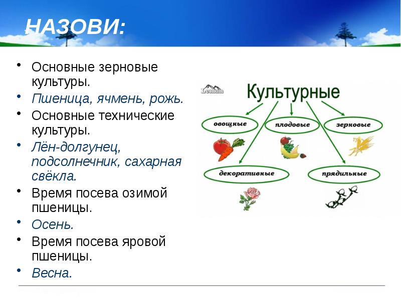 В нечерноземье выращивают лен долгунец сахарную свеклу