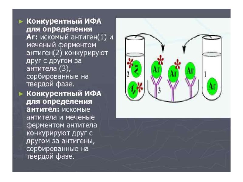 Необходимые ингредиенты особенности и схема постановки неконкурентного ифа методом сэндвича