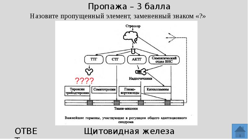 Управление заменами элементов