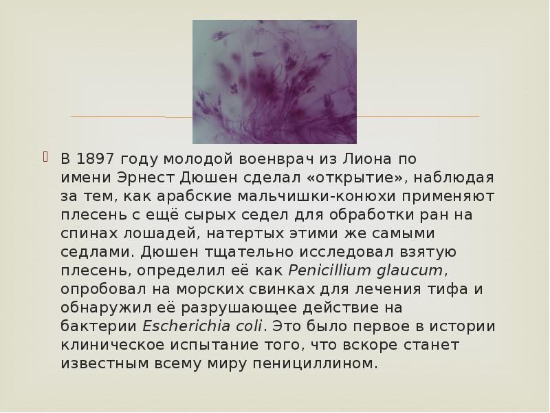 В 1897 году молодой военврач из Лиона по имени Эрнест Дюшен сделал «открытие», наблюдая за В 1897 году молодой военврач из Лиона по имени Эрнест Дюшен сделал «открытие», наблюдая за