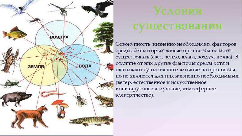 Условия существования живых организмов. Факторы среды и условия существования организмов. Условия существования животных воздух. Атмосфера условия существования живых организмов. Условия существования животных свет воздух.