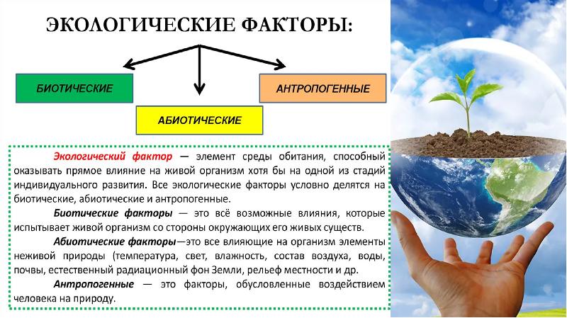 Что такое экологические признаки. Экологические типы людей. Абиотические факторы.