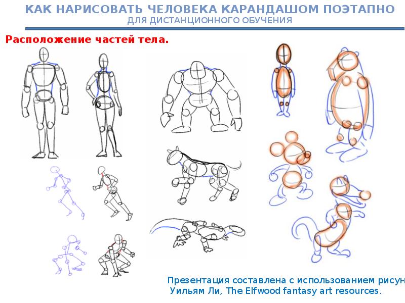 Рисование человека 4 класс поэтапное рисование презентация