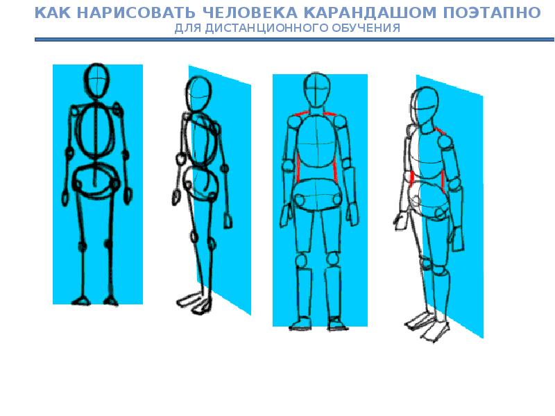 Презентация поэтапное рисование человека 6 класс