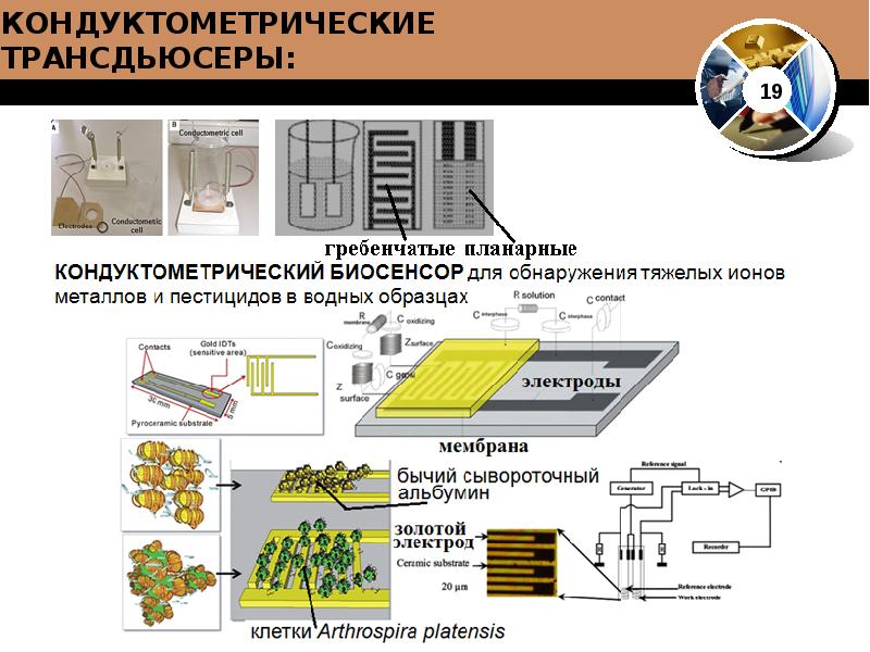 Биосенсоры для мониторинга презентация