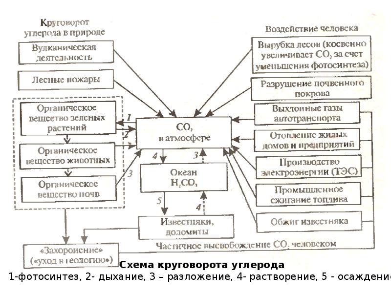 Среда науки