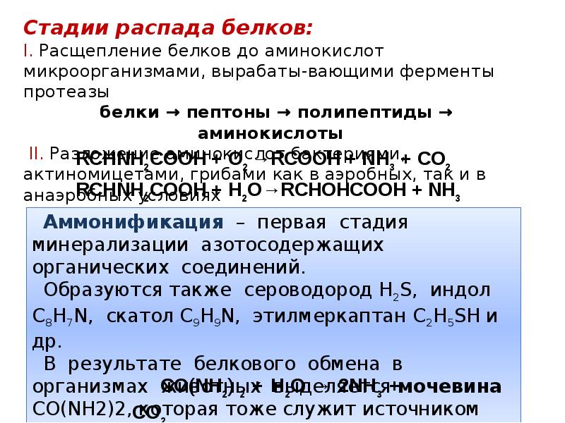 Среда науки. Закон Дитмана химия окружающей среды. Эудисмическое соотношение и эудисмический индекс..