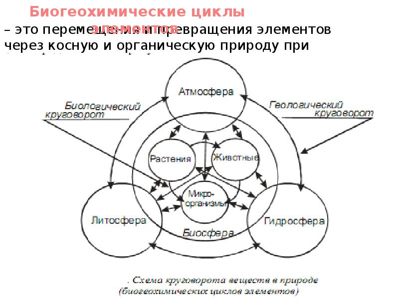 Химия и окружающая среда презентация 9 класс