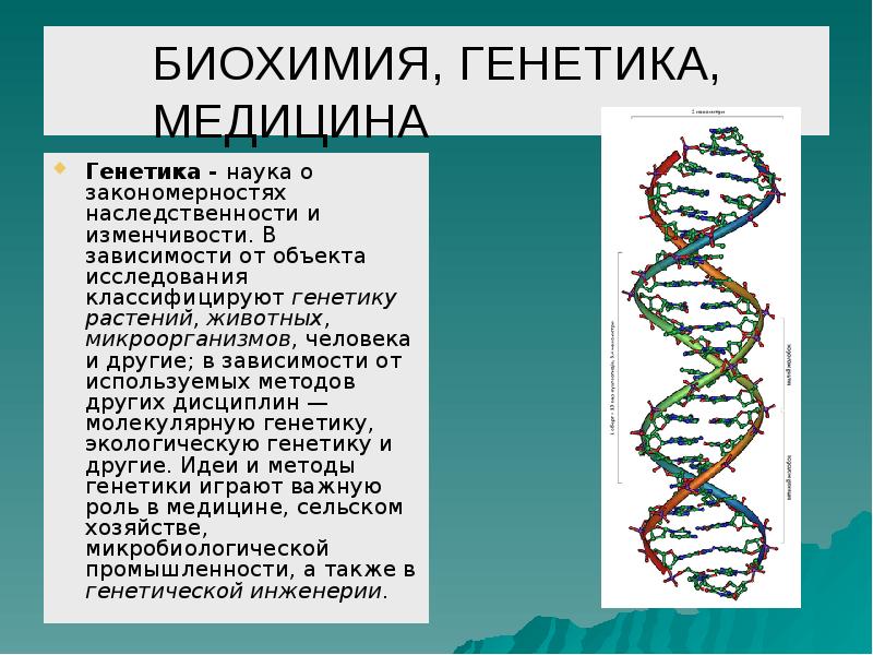 Презентация по биологии 10 класс генетика наука о закономерностях наследственности и изменчивости