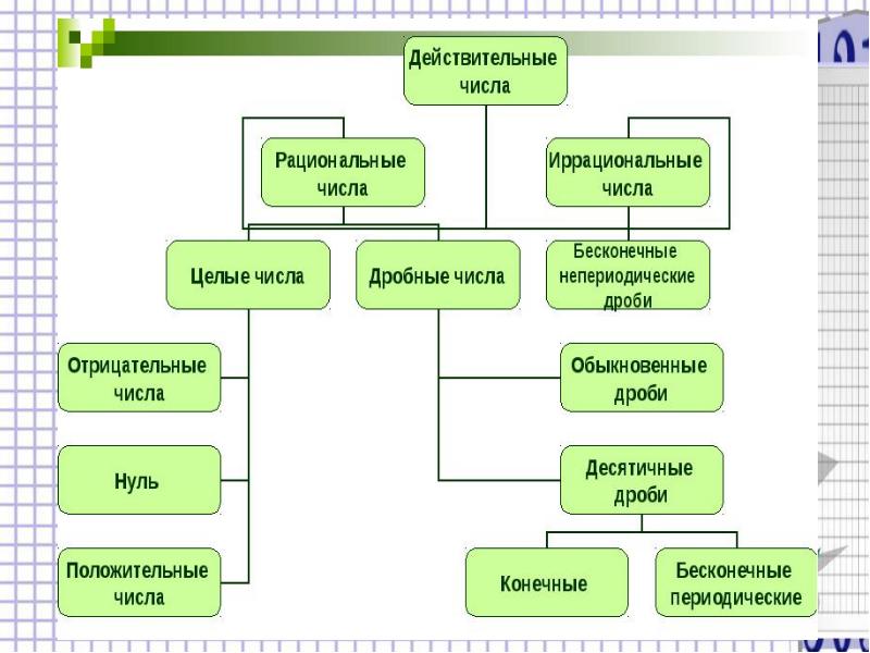 Рациональные числа проект