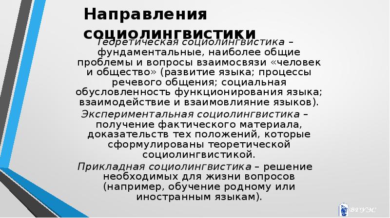 Основные понятия социолингвистики презентация