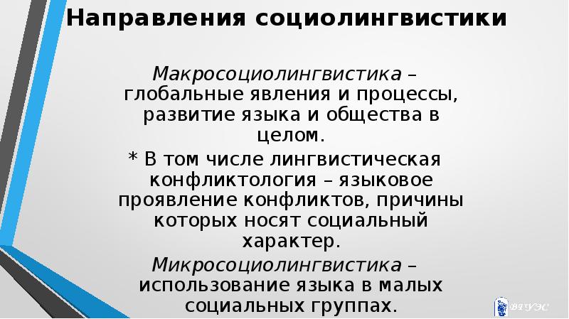 Презентация на тему социолингвистика