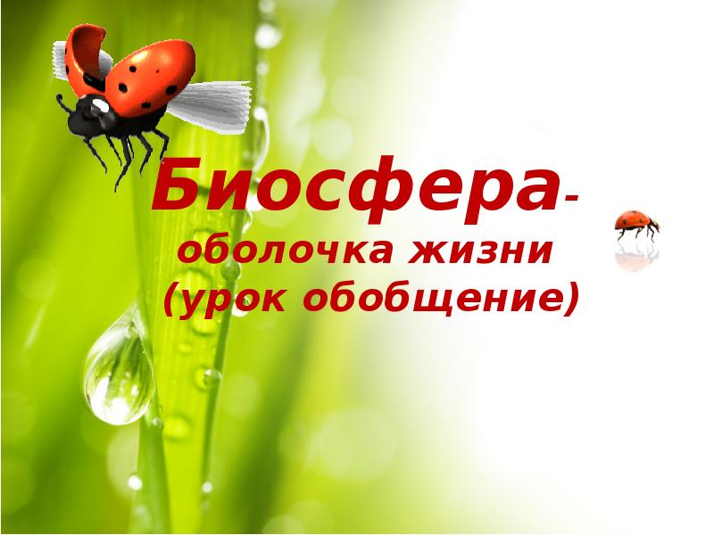 биосфера сфера жизни. биосфера это кратко. биосфера - это оболочка земли населённые живыми организмами?. биосфера земли. биосфера.